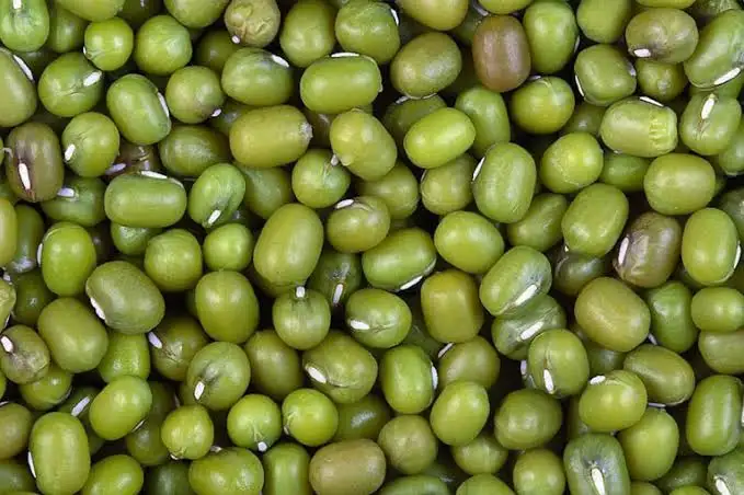 Green mung beans